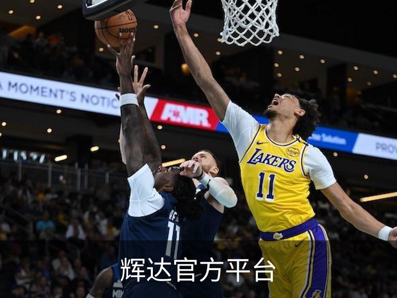 辉达官方平台介绍
